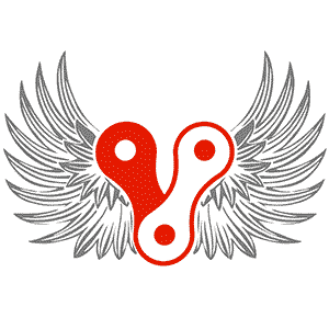 Velogearance Race Чулково